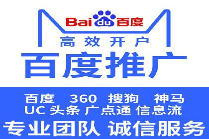 行业领先SEM服务公司案例研究